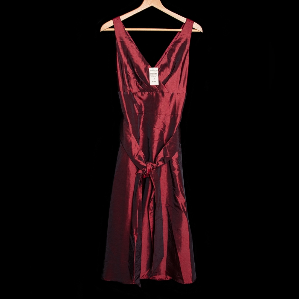 NWT COLDWATER Creek Sleeveless Fit & Flare Holidays Midi Dress Size 8